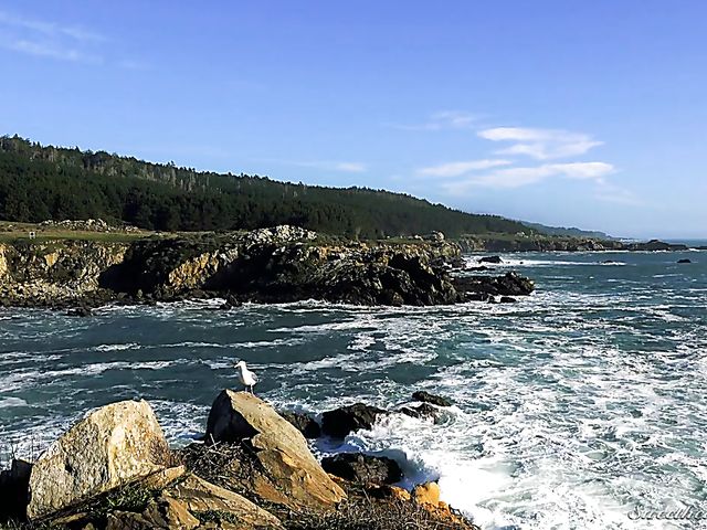 Katrina Jade and Cherie Deville lesbian night of pleasures