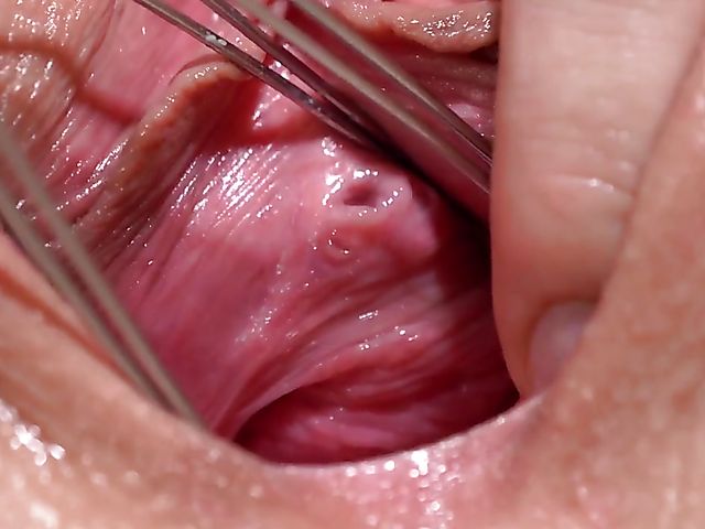 Incredible pussy close up with Licky Lex