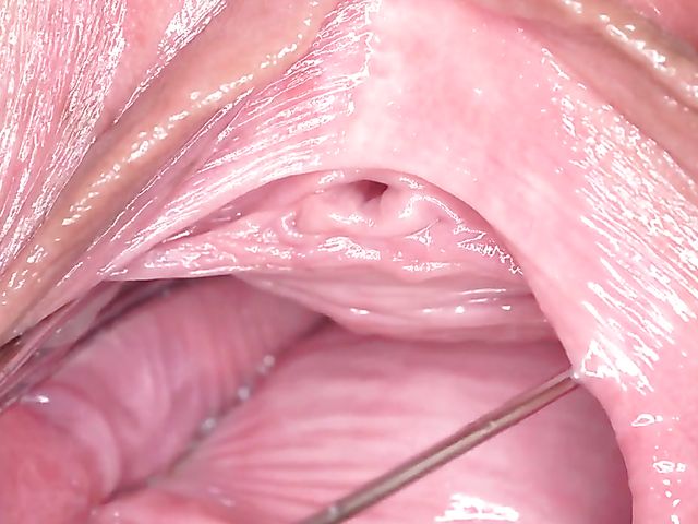 Incredible pussy close up with Licky Lex