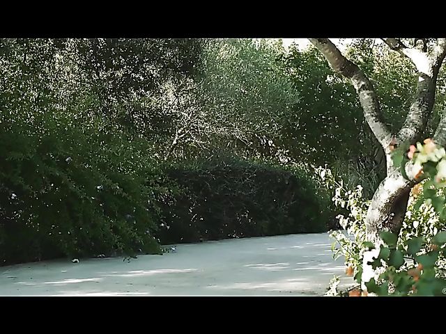 Horny Anabelle with big natural tits turns him on