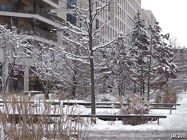 Mature French Laura gets rammed and loves it