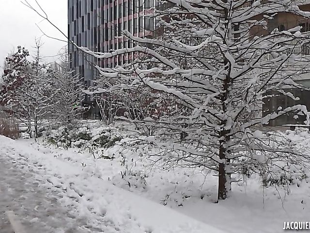 Mature French Laura gets rammed and loves it