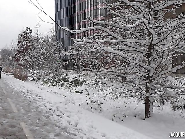 Mature French Laura gets rammed and loves it