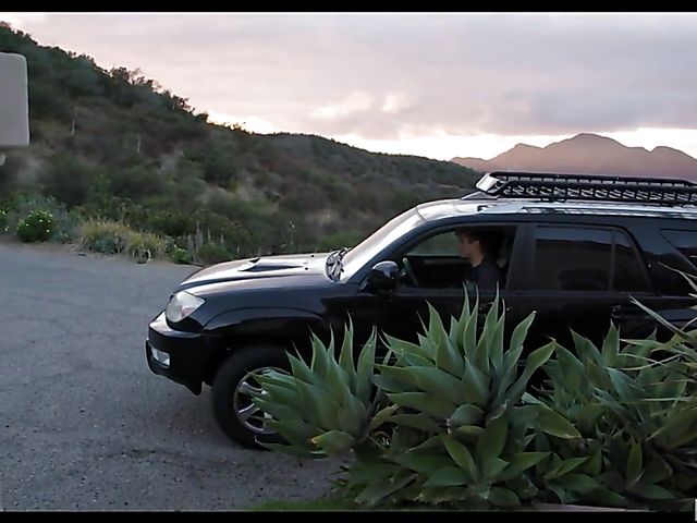 Blair Williams - Cheerleader's trimmed pussy fucked