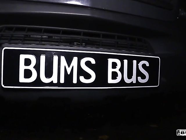 Tattooed german slut Sandy gets screwed in the backseat