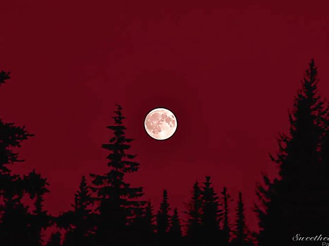 Lesbian MILFs threesome with Cherie Deville