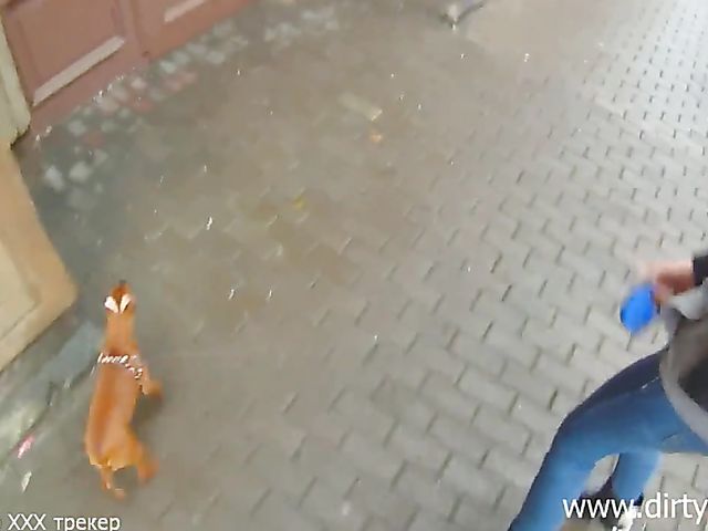 Naughty Russian girl picked up and fucked