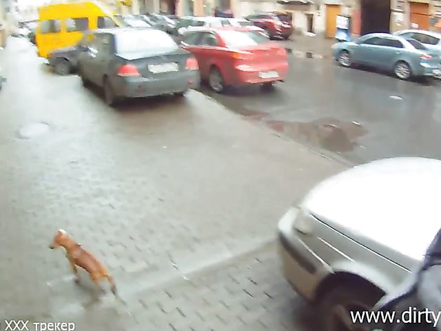 Naughty Russian girl picked up and fucked