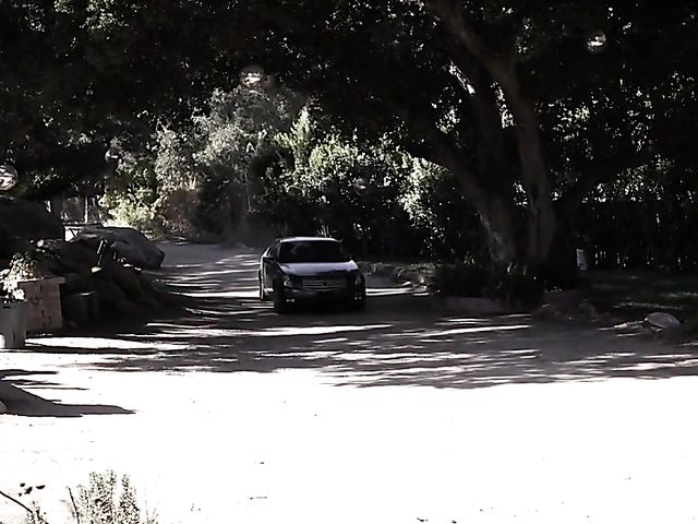 Blind girl Chloe Cherry takes a black cock