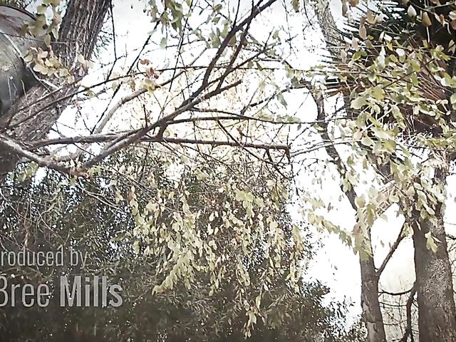 Kenzie Reeves and Joanna Angel have wild sex with a tattooed guy