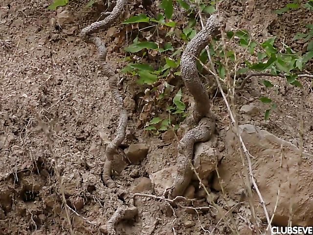 Hairy teen Ole Nina gets boned in the mountains