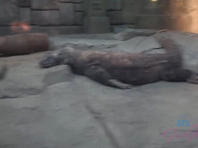 Alex Blake shows her pretty psst to her lucky BF