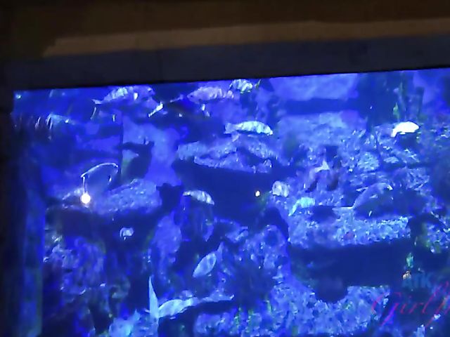 Alex Blake shows her pretty psst to her lucky BF