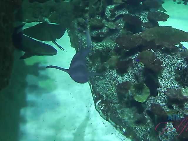 Alex Blake shows her pretty psst to her lucky BF