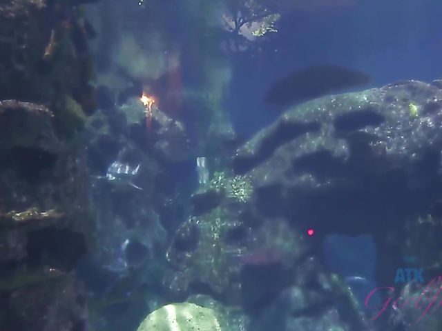 Skinny GF Tara Ashley gets her tight pussy fingered in the evening