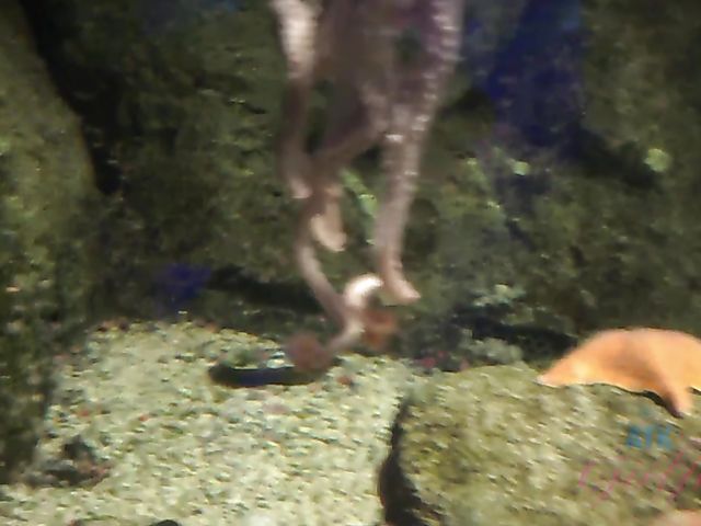 Skinny GF Tara Ashley gets her tight pussy fingered in the evening