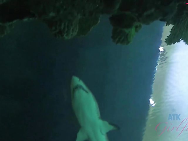 Skinny GF Tara Ashley gets her tight pussy fingered in the evening