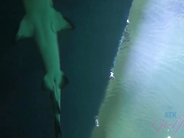 Skinny GF Tara Ashley gets her tight pussy fingered in the evening