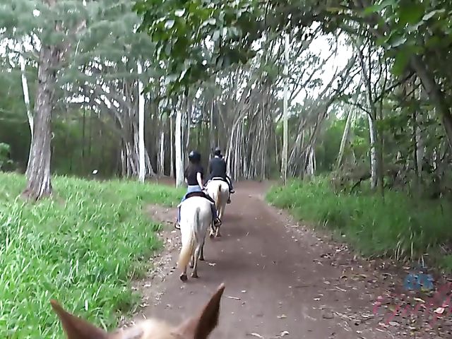 A sexy adventure with his teen girlfriend Ariel 