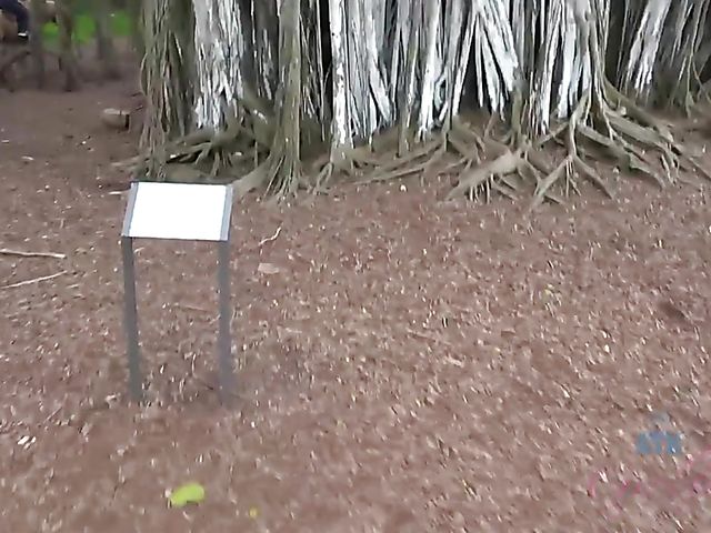 A sexy adventure with his teen girlfriend Ariel 