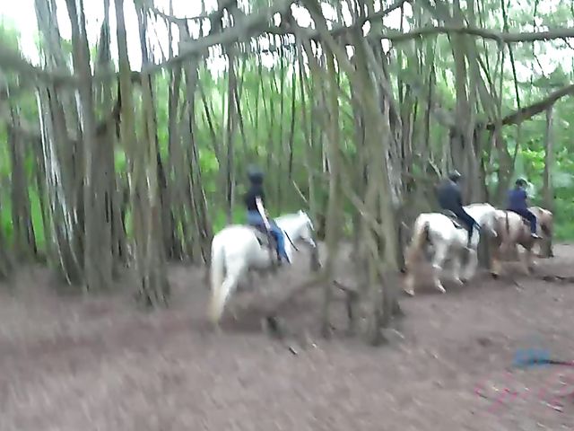 A sexy adventure with his teen girlfriend Ariel 