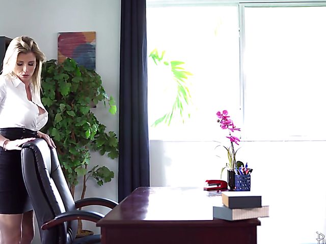 Cory Chase anal at work with her co-worker