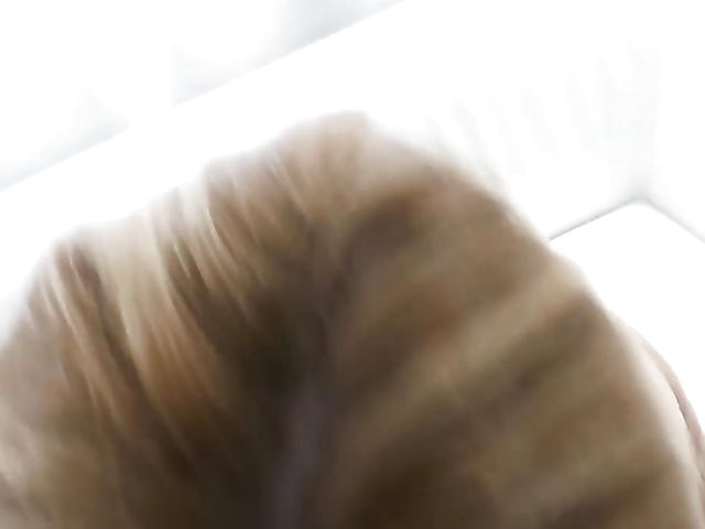 Nikki Benz blowjob from your point of view