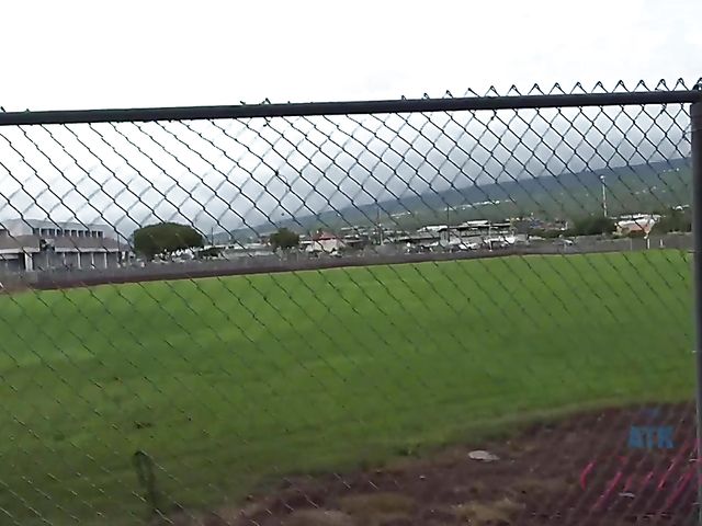 Cute teen Haley Reed gets finger fucked 