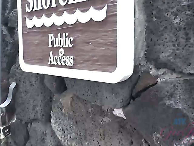 Cute teen Haley Reed gets finger fucked 