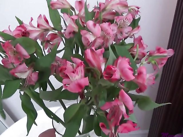 Mother's Day fuck with big breasted mature Brianna Beach