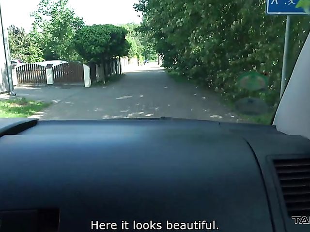 Petite Figi picked up and fucked in the backseat