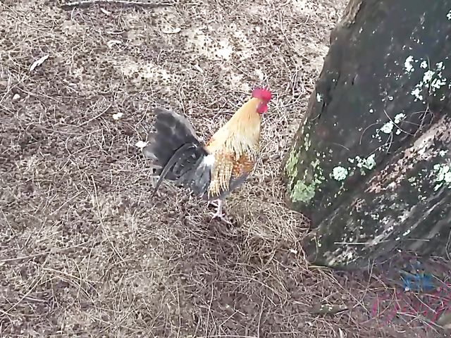 Car sex with his smoking girlfriend Jade