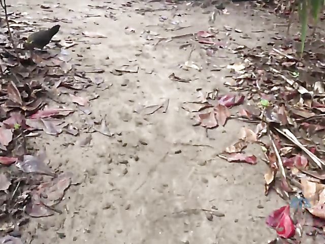 Car sex with his smoking girlfriend Jade