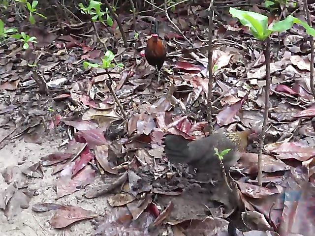 Car sex with his smoking girlfriend Jade