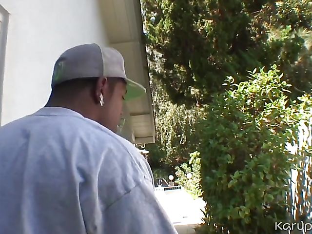 Huge tits MILF Lisa Ann fucks a black guy