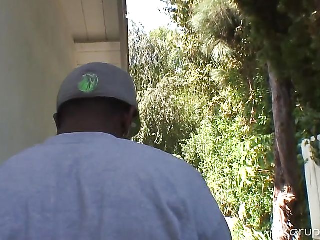 Huge tits MILF Lisa Ann fucks a black guy