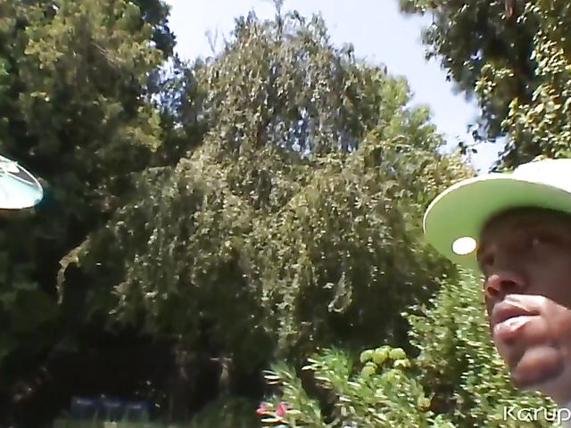 Huge tits MILF Lisa Ann fucks a black guy