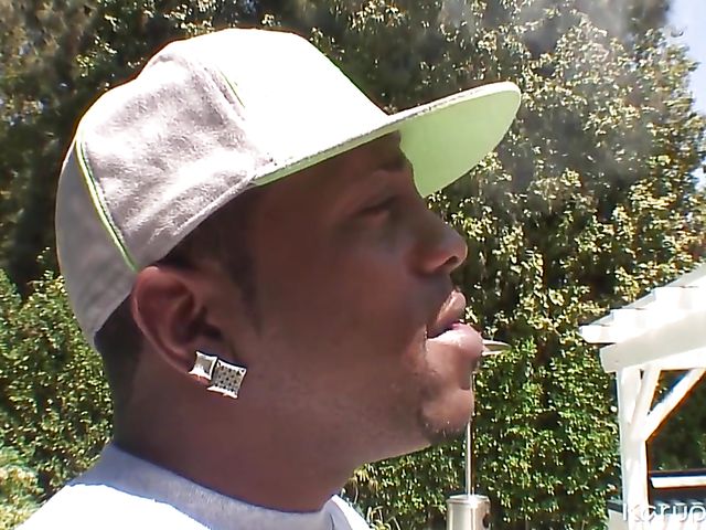 Huge tits MILF Lisa Ann fucks a black guy