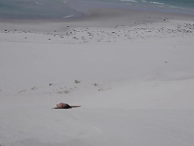 Jasmine Summers posing nude in sand by the ocean  