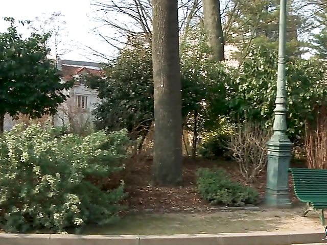 Just divorced mature blonde Julie gets double fucked