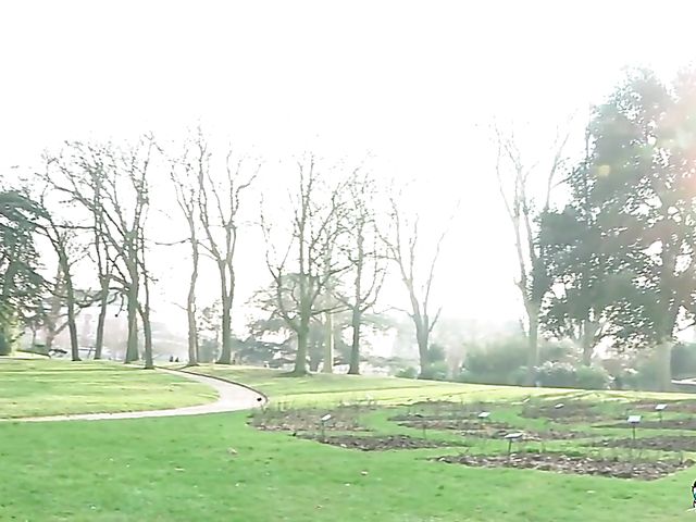 Just divorced mature blonde Julie gets double fucked