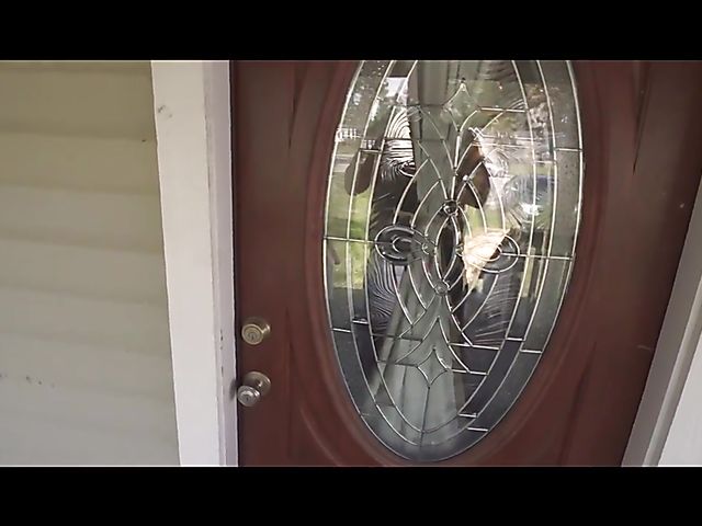 Mia Vallis - Aunt and nephew have lots of fun