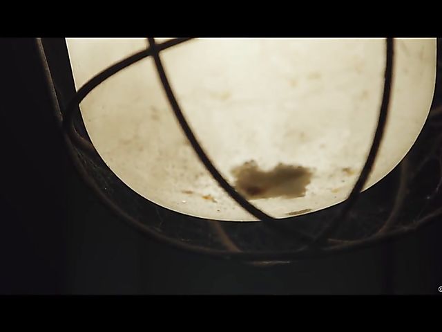 Dirty lesbians Emylia Argan and Katy Rose