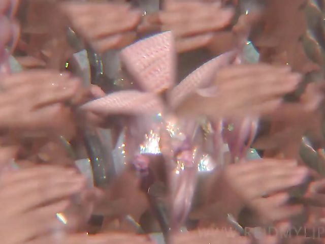 Tied up black guy gets shared by anal loving Riley Reid and Abella Danger