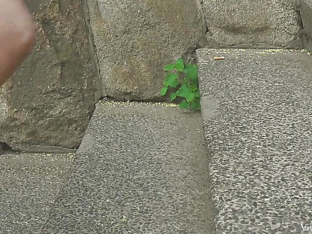 Lesbians with big naturals Kira Queen and Alice Wayne do it outdoor