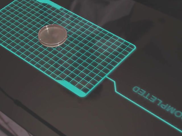 Five schoolgirls orgy with lucky Michael Vegas