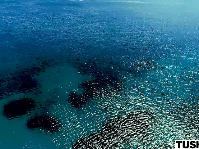 Outdoor anal by the sea with Eveline Dellai