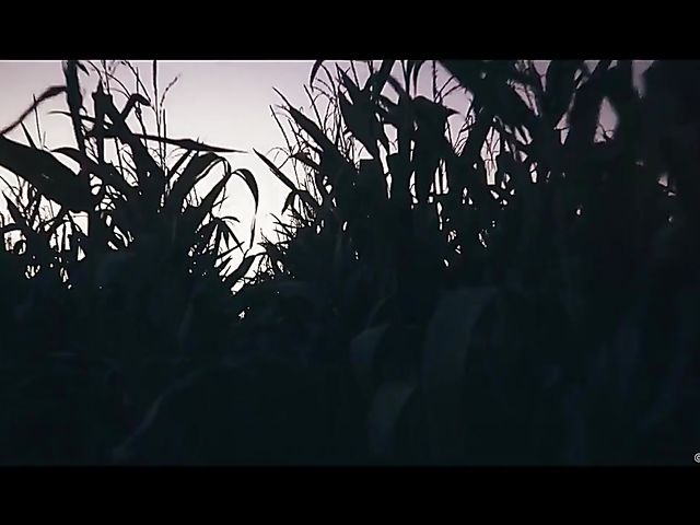 Nightmare and erotic sex with Assoli and Matt Ice