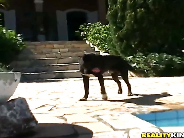 Brazilian blonde Julia Fontanelli gets a fuck in the sun