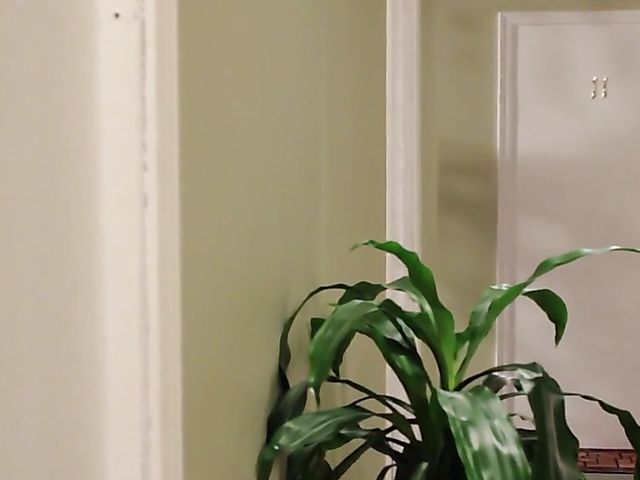 Pretty blonde Jessa Rhodes is in the mood for hot sex